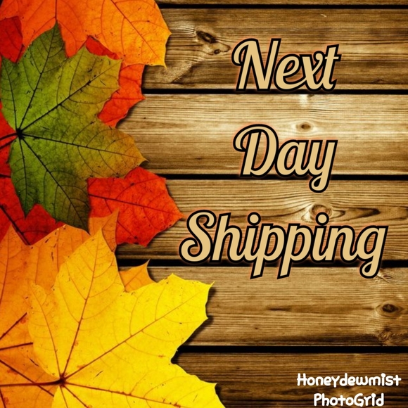 🌻Fast Shipping🌻 - Picture 4 of 9